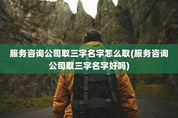 服务咨询公司取三字名字怎么取(服务咨询公司取三字名字好吗)