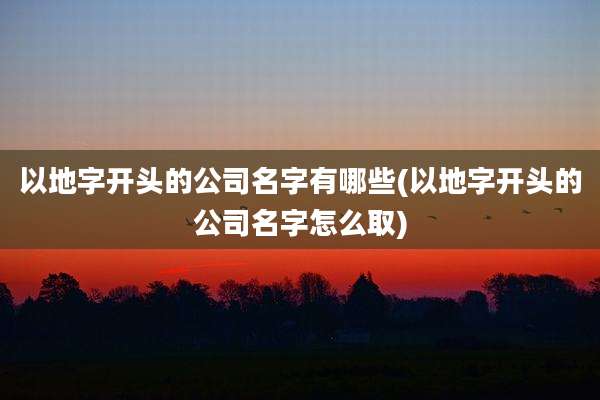 以地字开头的公司名字有哪些(以地字开头的公司名字怎么取)