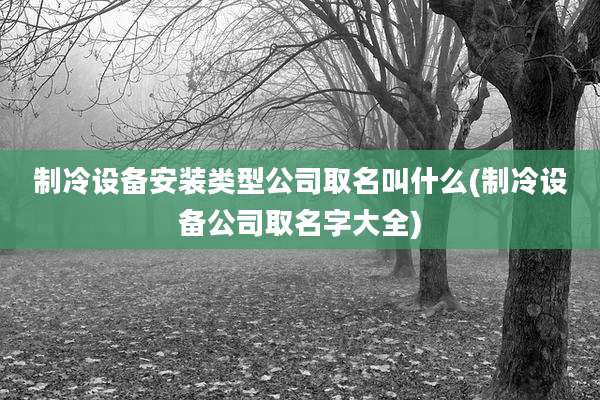 制冷设备安装类型公司取名叫什么(制冷设备公司取名字大全)