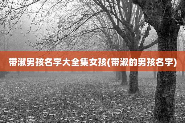 带淑男孩名字大全集女孩(带淑的男孩名字)