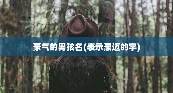 豪气的男孩名(表示豪迈的字)