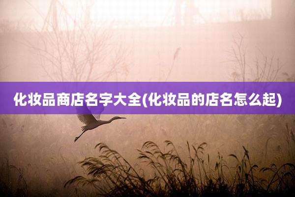 化妆品商店名字大全(化妆品的店名怎么起)