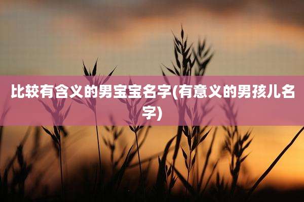 比较有含义的男宝宝名字(有意义的男孩儿名字)
