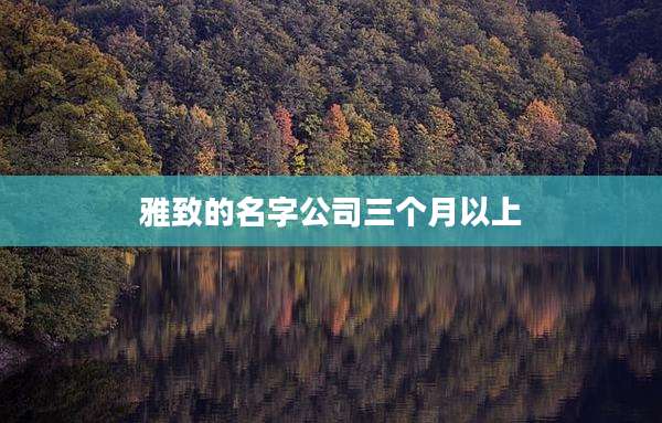 雅致的名字公司三个月以上