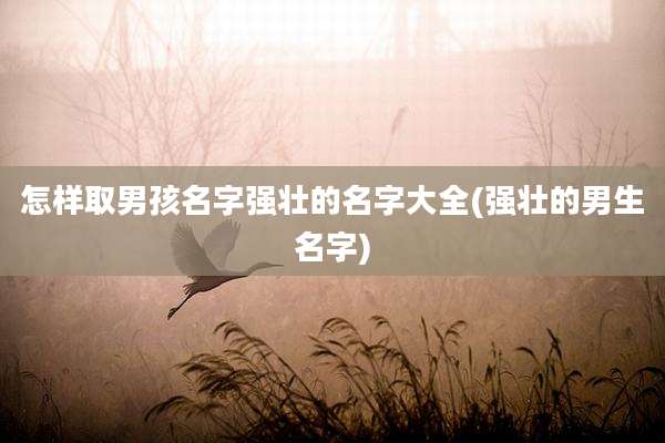 怎样取男孩名字强壮的名字大全(强壮的男生名字)
