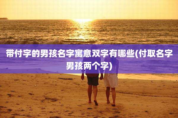 带付字的男孩名字寓意双字有哪些(付取名字男孩两个字)