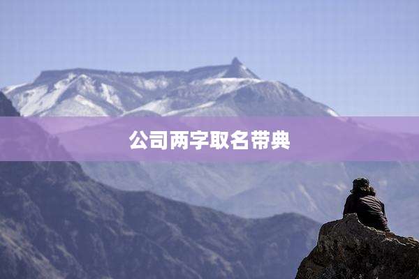 公司两字取名带典