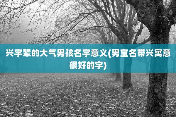 兴字辈的大气男孩名字意义(男宝名带兴寓意很好的字)