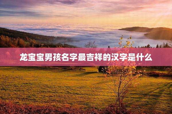 龙宝宝男孩名字最吉祥的汉字是什么