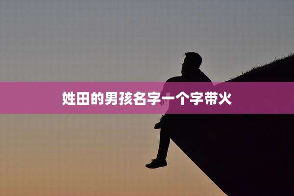 姓田的男孩名字一个字带火