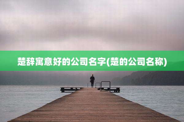 楚辞寓意好的公司名字(楚的公司名称)
