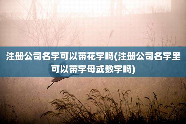 注册公司名字可以带花字吗(注册公司名字里可以带字母或数字吗)