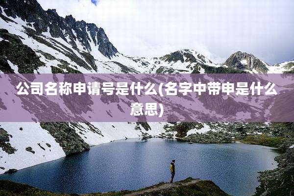 公司名称申请号是什么(名字中带申是什么意思)