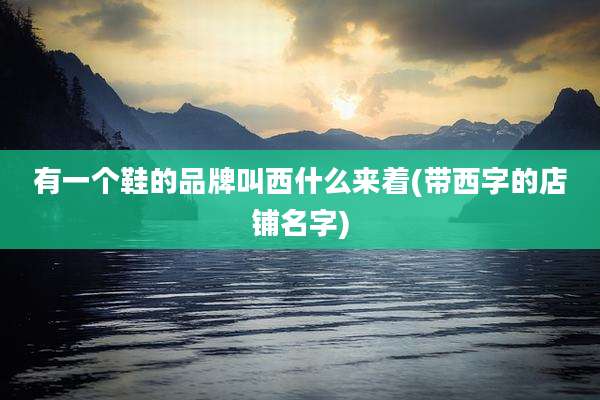 有一个鞋的品牌叫西什么来着(带西字的店铺名字)