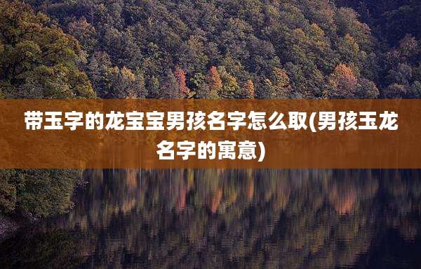 带玉字的龙宝宝男孩名字怎么取(男孩玉龙名字的寓意)