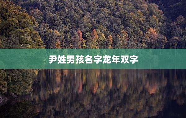 尹姓男孩名字龙年双字