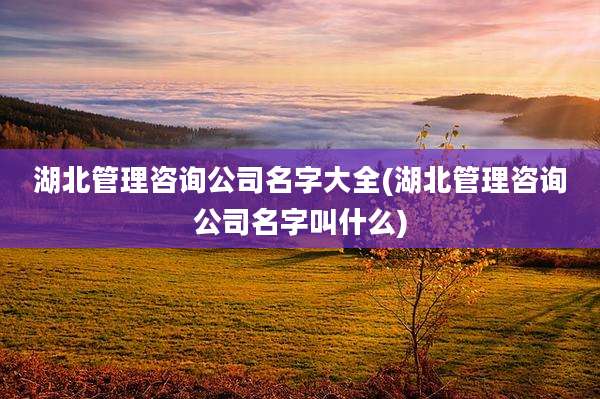 湖北管理咨询公司名字大全(湖北管理咨询公司名字叫什么)