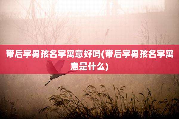 带后字男孩名字寓意好吗(带后字男孩名字寓意是什么)