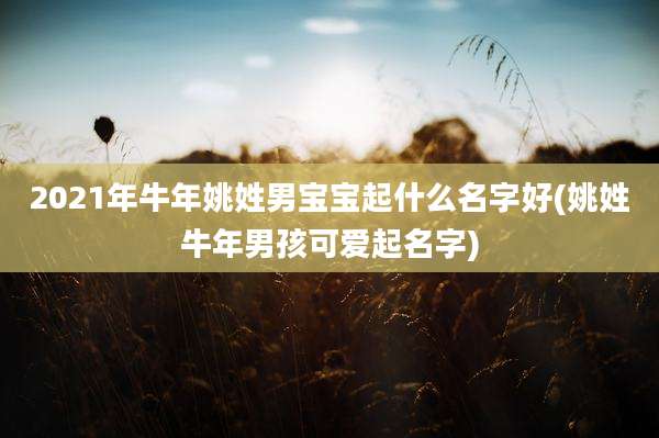 2021年牛年姚姓男宝宝起什么名字好(姚姓牛年男孩可爱起名字)