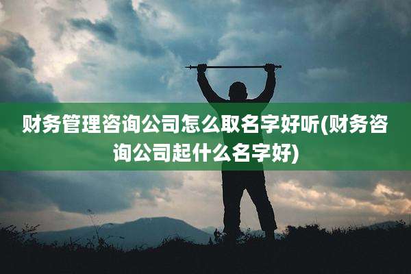 财务管理咨询公司怎么取名字好听(财务咨询公司起什么名字好)