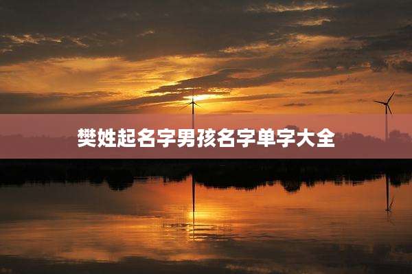 樊姓起名字男孩名字单字大全