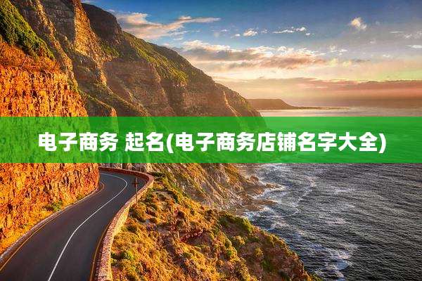 电子商务 起名(电子商务店铺名字大全)