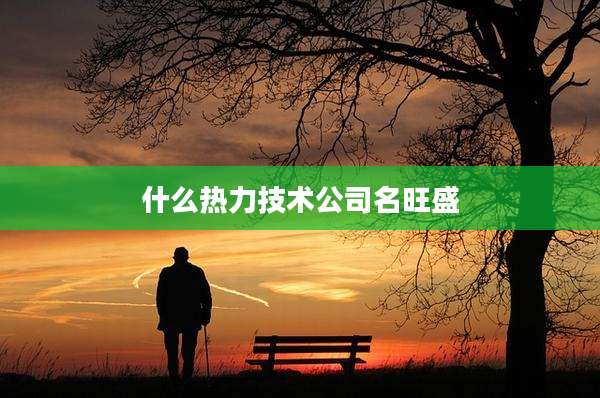 什么热力技术公司名旺盛