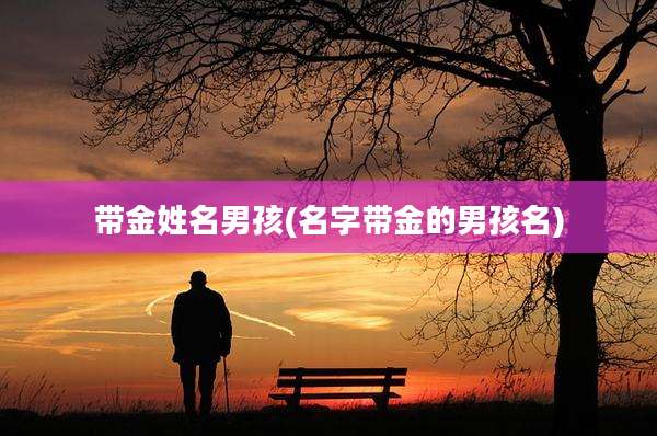 带金姓名男孩(名字带金的男孩名)
