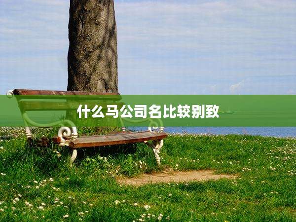 什么马公司名比较别致