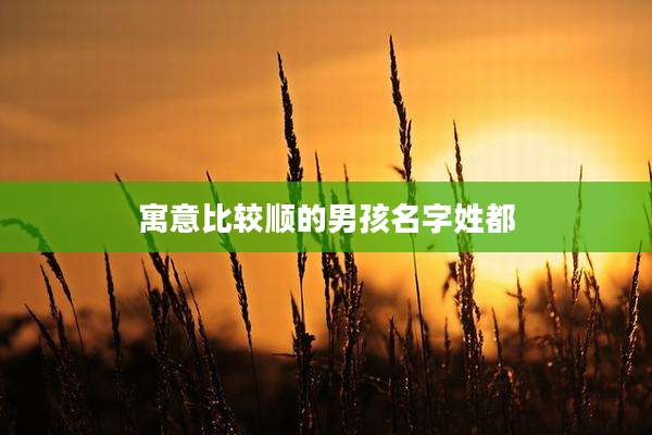 寓意比较顺的男孩名字姓都