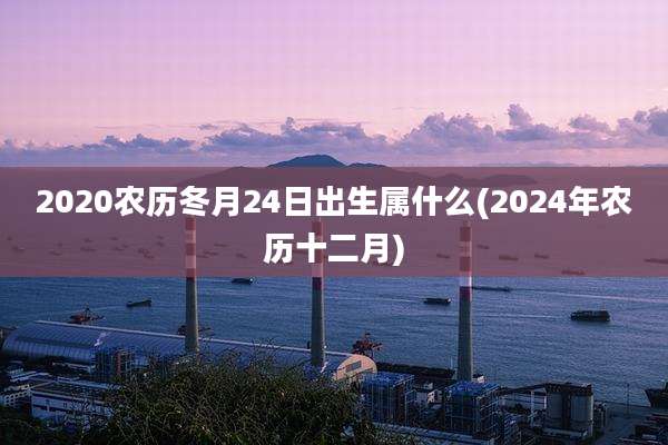 2020农历冬月24日出生属什么(2024年农历十二月)