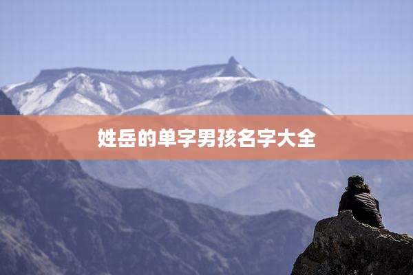 姓岳的单字男孩名字大全