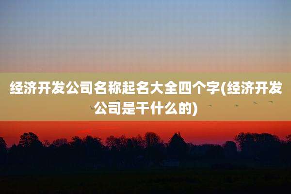 经济开发公司名称起名大全四个字(经济开发公司是干什么的)