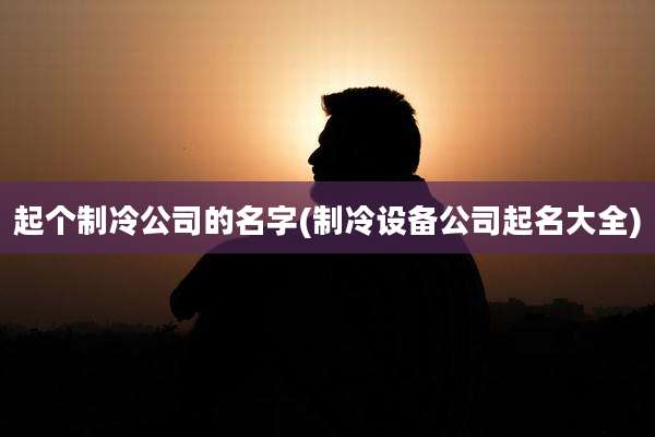 起个制冷公司的名字(制冷设备公司起名大全)