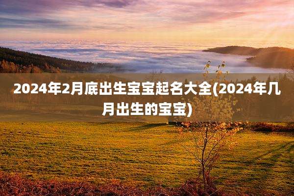 2024年2月底出生宝宝起名大全(2024年几月出生的宝宝)