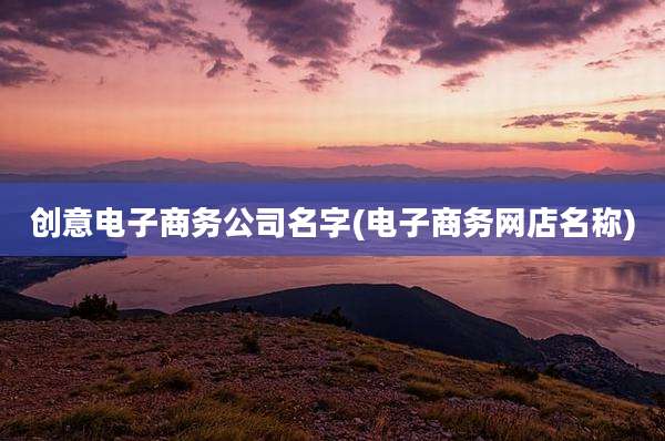 创意电子商务公司名字(电子商务网店名称)
