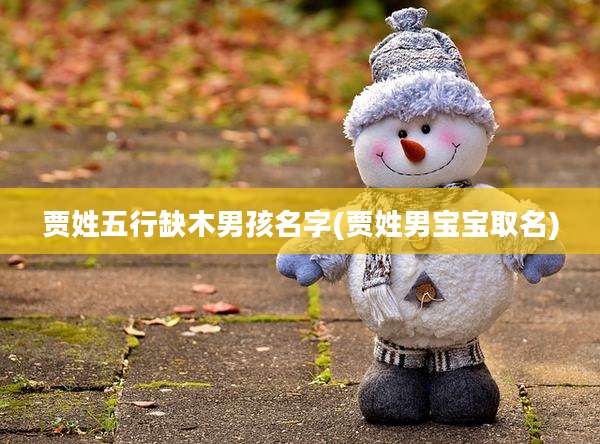 贾姓五行缺木男孩名字(贾姓男宝宝取名)