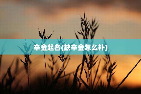 辛金起名(缺辛金怎么补)