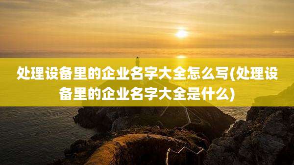 处理设备里的企业名字大全怎么写(处理设备里的企业名字大全是什么)