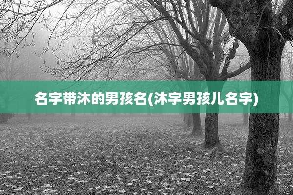 名字带沐的男孩名(沐字男孩儿名字)