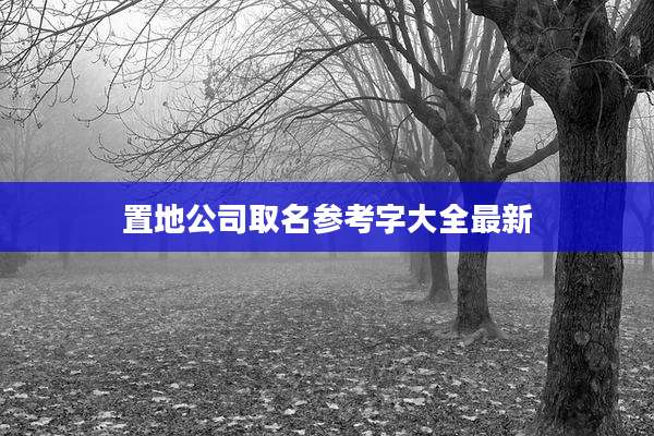 置地公司取名参考字大全最新