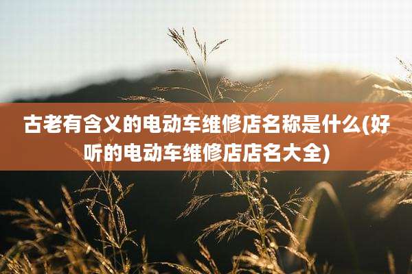 古老有含义的电动车维修店名称是什么(好听的电动车维修店店名大全)