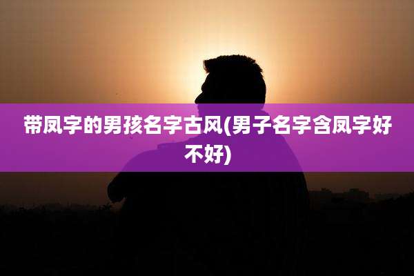 带凤字的男孩名字古风(男子名字含凤字好不好)