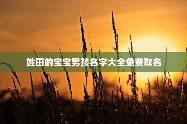 姓田的宝宝男孩名字大全免费取名