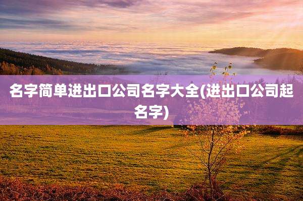 名字简单进出口公司名字大全(进出口公司起名字)