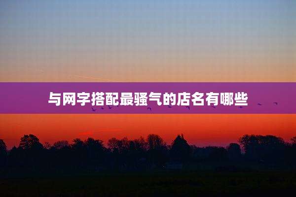 与网字搭配最骚气的店名有哪些