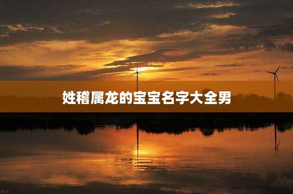 姓稽属龙的宝宝名字大全男