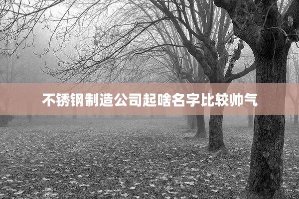 不锈钢制造公司起啥名字比较帅气