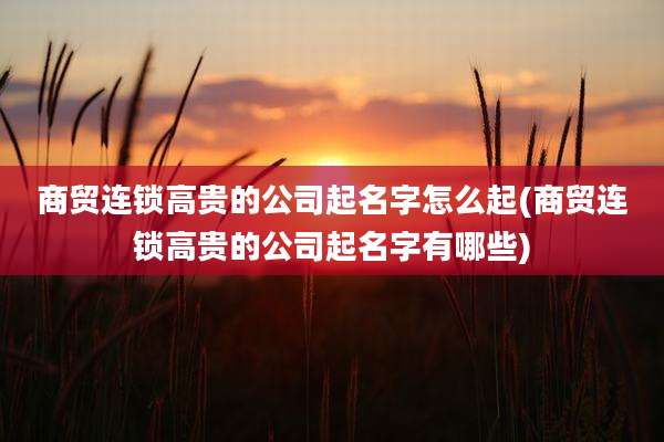 商贸连锁高贵的公司起名字怎么起(商贸连锁高贵的公司起名字有哪些)