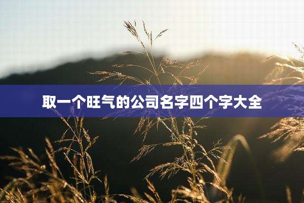 取一个旺气的公司名字四个字大全
